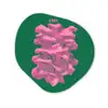 Abstract - Pink - Lijnen - Groen Wandcirkel Organisch Plexiglas middel -3d