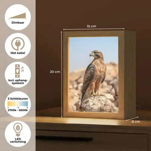 Valk - Vogel - Rots - Macht Light Box met kabel (Tafellamp) klein -USP_NL