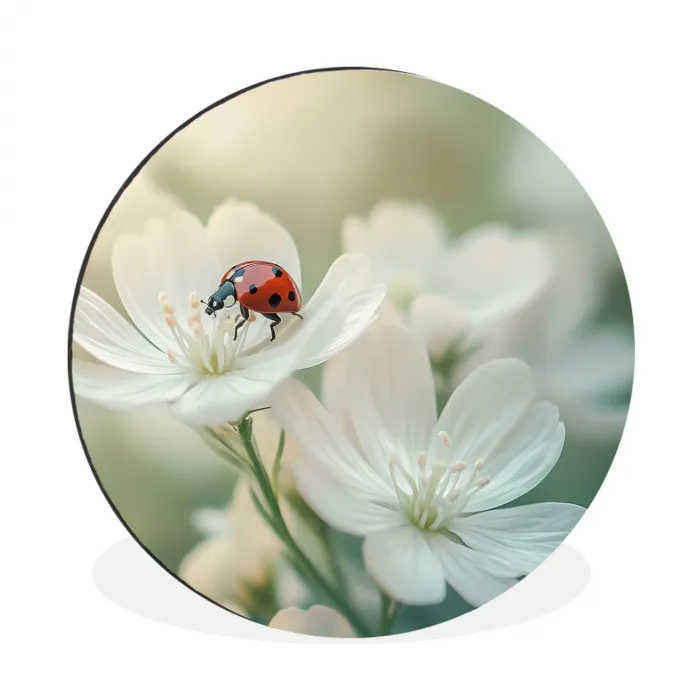 Lieveheersbeestje - Bloemen - Wit Wandcirkel aluminium klein -3d