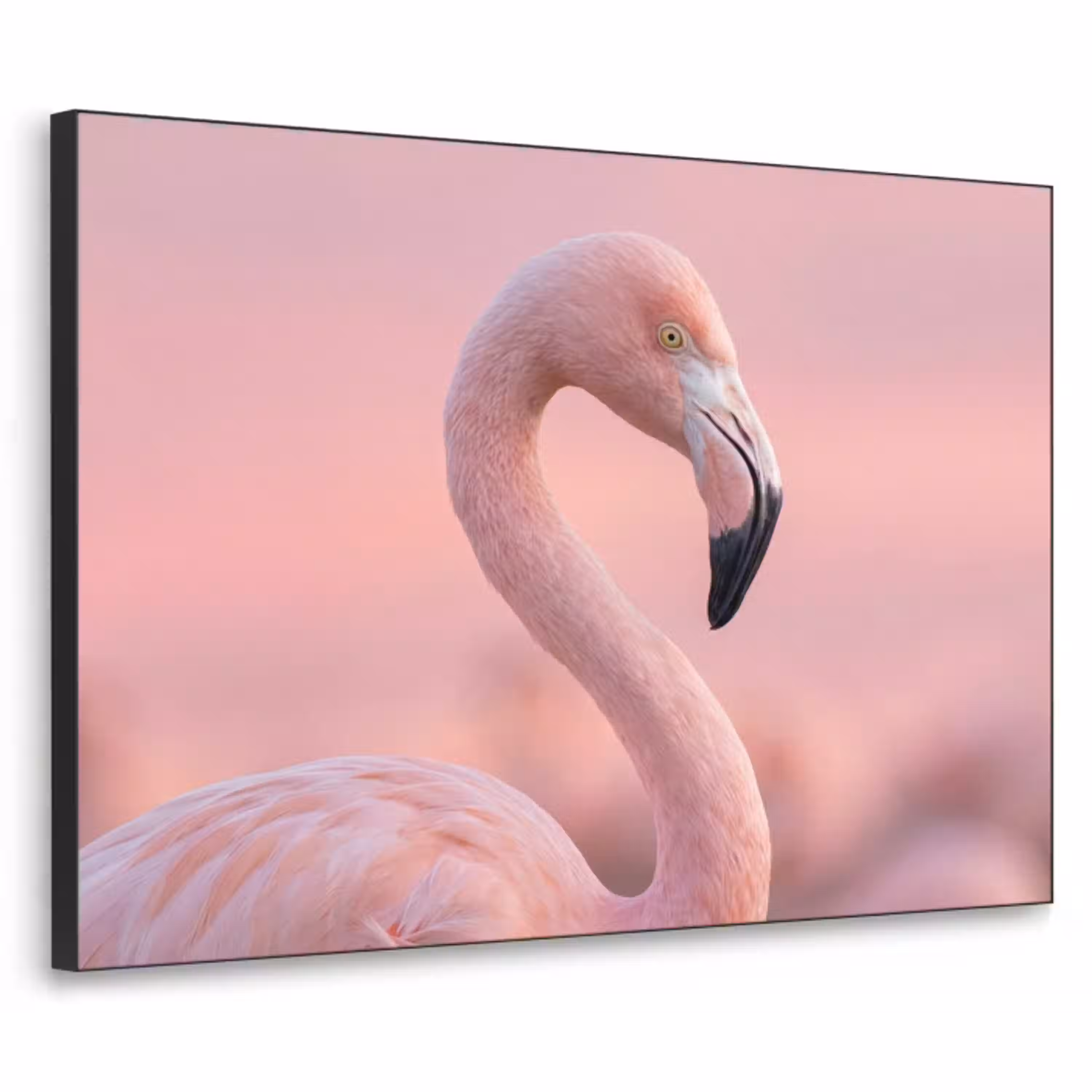 Flamingo - Portret - Roze Textielframe zwart klein -3d