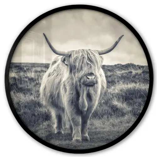 Schotse hooglander - Dieren - Wolken - Koe - Natuur Fotolijst rond zonder passe partout klein -3d