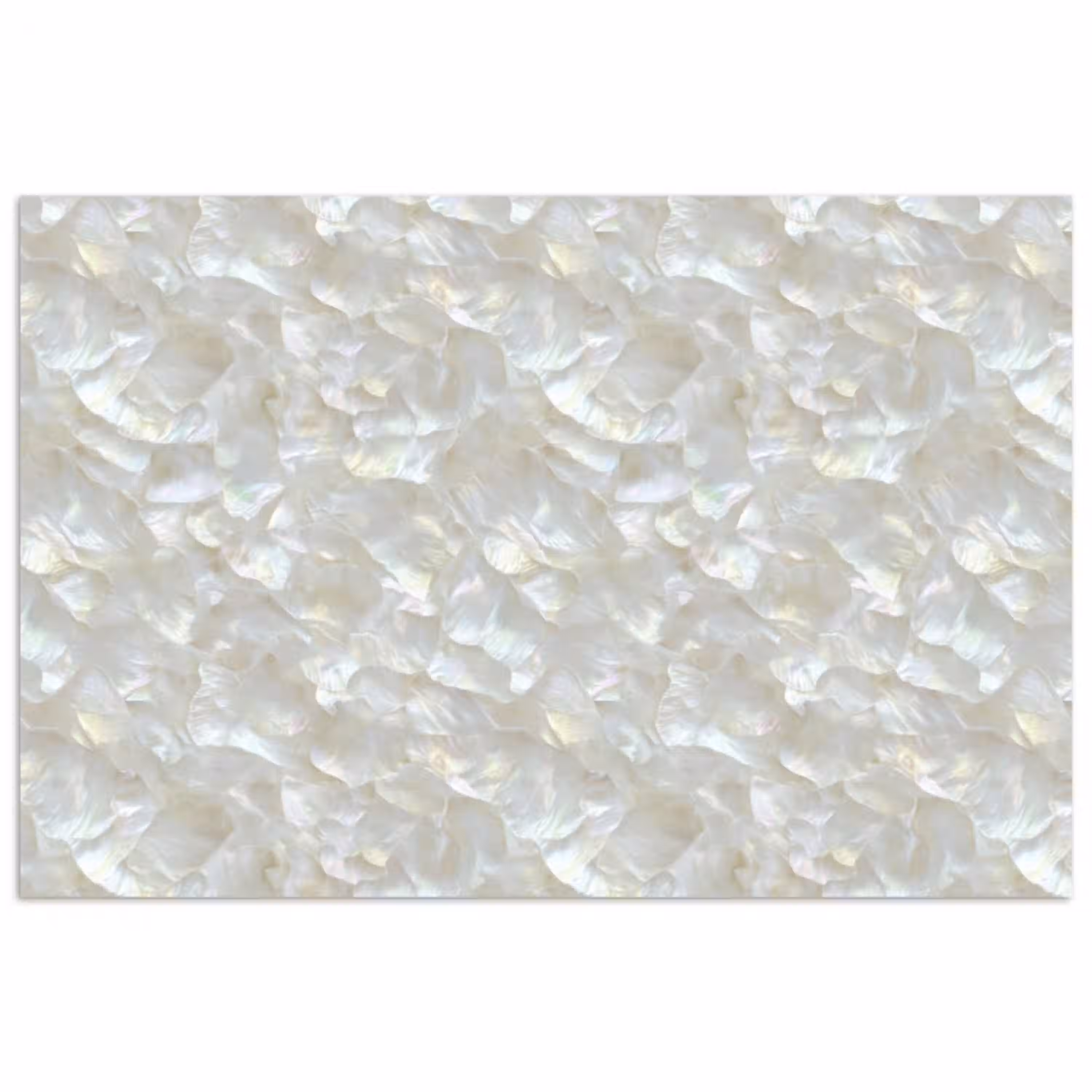 Parelmoerglans - Wit - Schelp poster papier klein 62 -3d