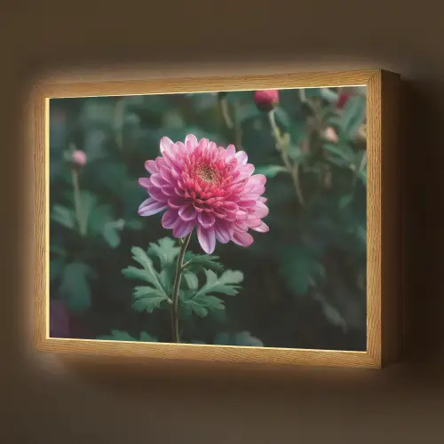 Blad - Chrysant - Roze - Schaduw Light Box met batterij (Wandlamp) middel -z3d_website