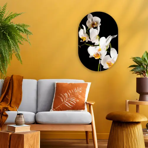 Orchidee - Bloemen - Planten - Botanisch Wandcirkel Ovaal Forex klein -sfeer4