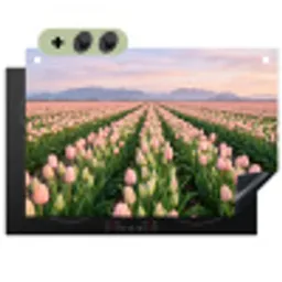 Tulpen - Landschap - Roze Inductie beschemer met haakjes klein -3d