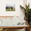 Nieuwsgierige koeien in de wei tuinposter los doek klein -sfeer7