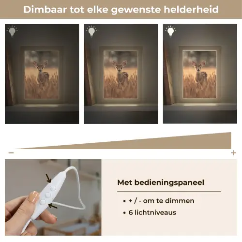 Hert - Graanveld - Bruin Light Box met kabel klein -USP_dimbaarNL