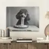 Poedel - Hond - Zwart - Wit - Schattig - Pasta PET vilt klein -sfeer1