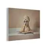 Bad - Hond - Boek - Zonnebril PET vilt klein -3d