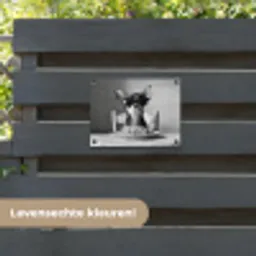 Chihuahua - Hond - Zonnebril - Humoristisch - Zwart - Wit - Spaghetti tuinposter los doek klein -sfeer3