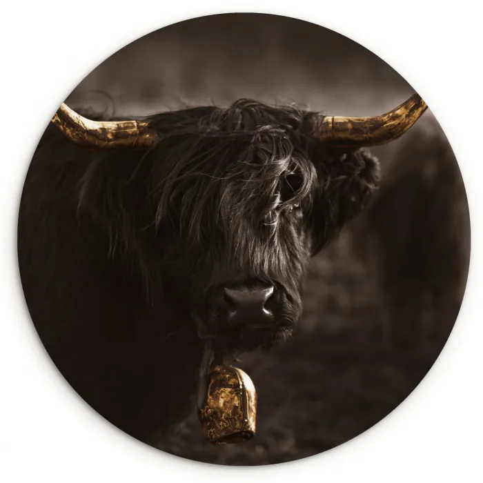 Schotse hooglander - Goud - Koebel - Hoorns - Dieren Wandcirkel kunststof plaat 5mm dik klein -3d
