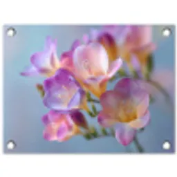 Bloemen - Paars - Overloop - Meeldraden tuinposter los doek klein -3d