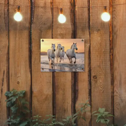 Witte paarden galopperen langs de kust tuinposter los doek klein -sfeer1