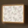 Organisch - Patroon - Gemêleerd Light Box met batterij (Wandlamp) middel 907 -z3d_website