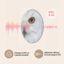 Sneeuwuil - Oog - Wildlife - Wit Akoestische PET Vilt - Rond klein -USP_FR
