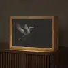 Kolibrie - Zwart - Dieren Light Box met kabel (Tafellamp) klein -z3d_website