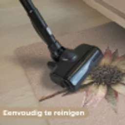 Droogbloem - Protea - Vintage - Beige - Rustiek Deurmat klein -reinigen_NL