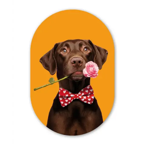 Hond - Oranje - Roos - Valentijn Wandcirkel Ovaal Forex klein -3d