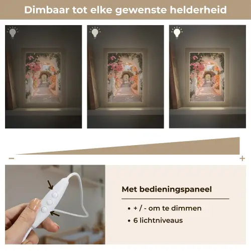 Doorkijk - Boog - Bloemen - Pastel Light Box met kabel (Wandlamp) klein -USP_dimbaarNL