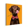 Hond - Oranje - Roos - Valentijn aluminium wit klein -3d