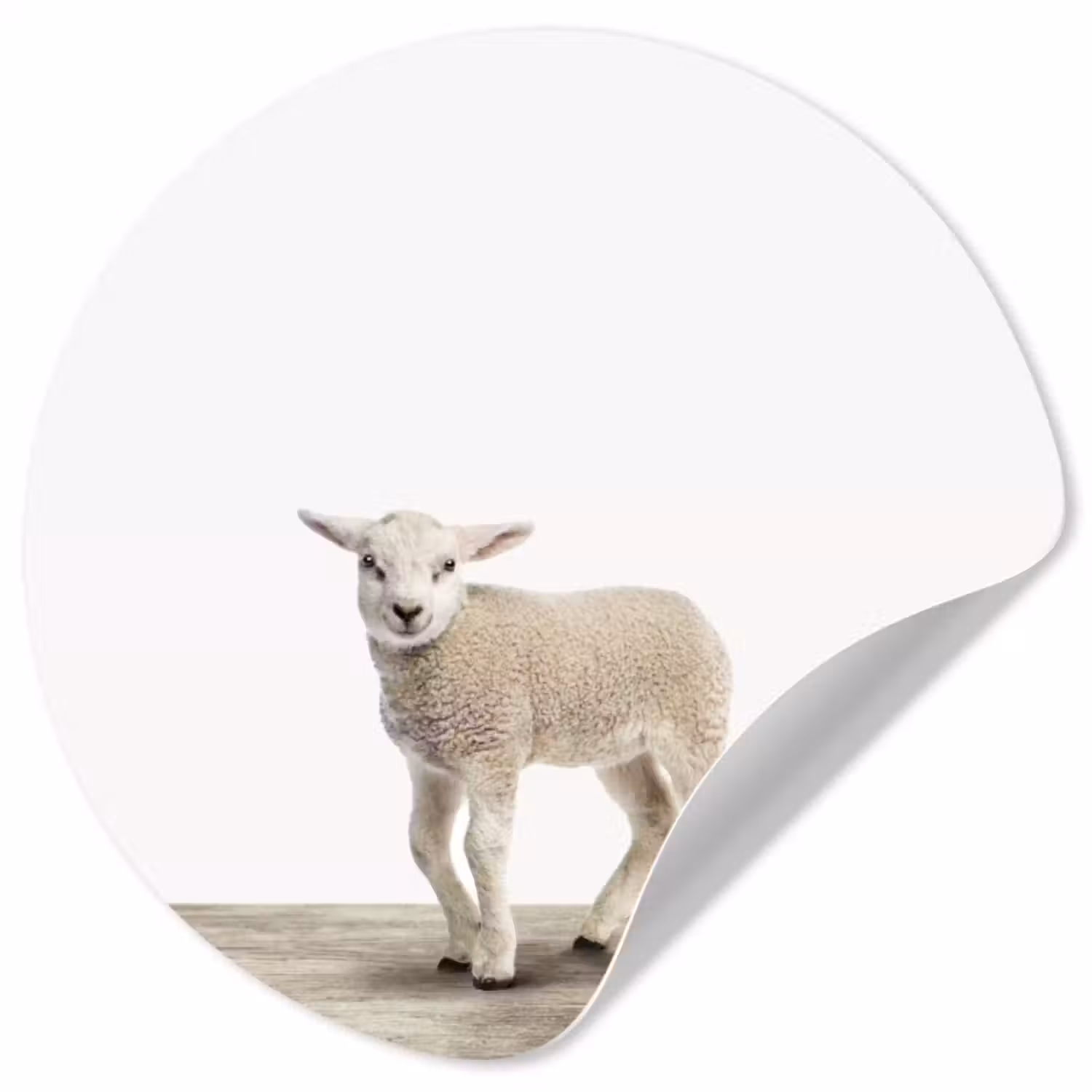 Behangcirkel - Lammetje - Schaap - Dieren - Kinderen - Meisjes - Jongens