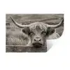 Schotse hooglander - Zwart - Wit - Hout Muursticker klein -3d
