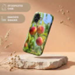 Perzik - Bladeren - Zonlicht Toughcase MagSafe Apple iPhone 17 klein -USP_RandenV_DE