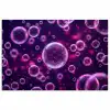 Paars - Bubbels - Schuim poster papier klein -3d