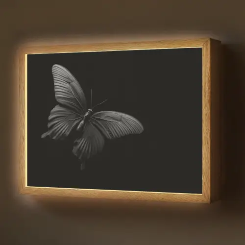 Vlinder - Zwart - Insect - Dieren Light Box met batterij (Wandlamp) middel -z3d_website