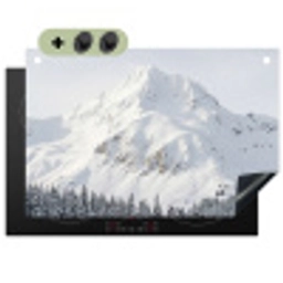 Berg - Sneeuw - Winter - Natuur - Wit Inductie beschemer met haakjes klein -3d