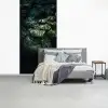 Plant - Monstera - Lichtinval fotobehang vinyl groot -slaapkamer