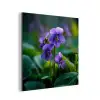 Viooltjes - Paars - Bloem - Bladeren aluminium wit klein -3d