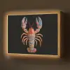 Kreeft - Borduur - Kleurrijk - Bloemen Light Box met batterij (Wandlamp) middel -z3d_website