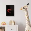 Garnaal - Rood - Dieren fotolijst zwart zonder passe partout klein -usfeer4_kinderkamer