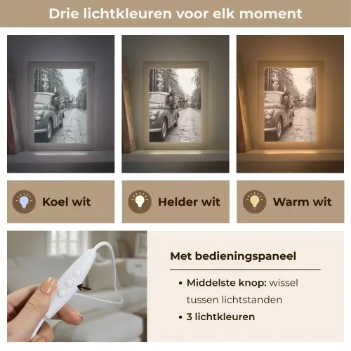 Eland - Auto - Gewei - Zwart - Wit Light Box met kabel (Tafellamp) klein -USP_lichtkleurNL