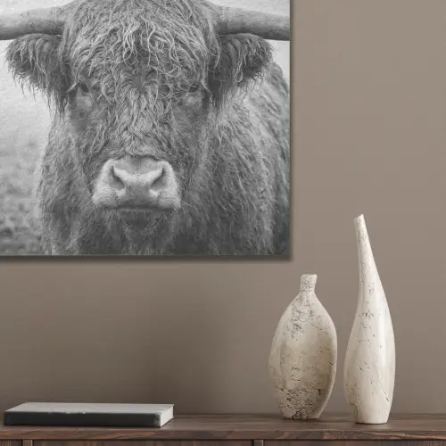 Schotse hooglander - Zwart - Wit - Gras PET vilt klein -sfeer6_closeup