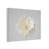 Bloem - Minimalistisch -Wit PET vilt klein -3d