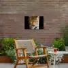 Luipaard - Dieren - Portret - Wilde dieren - Zwart Tuinposter op houten frame 2 cm dik klein -sfeer3