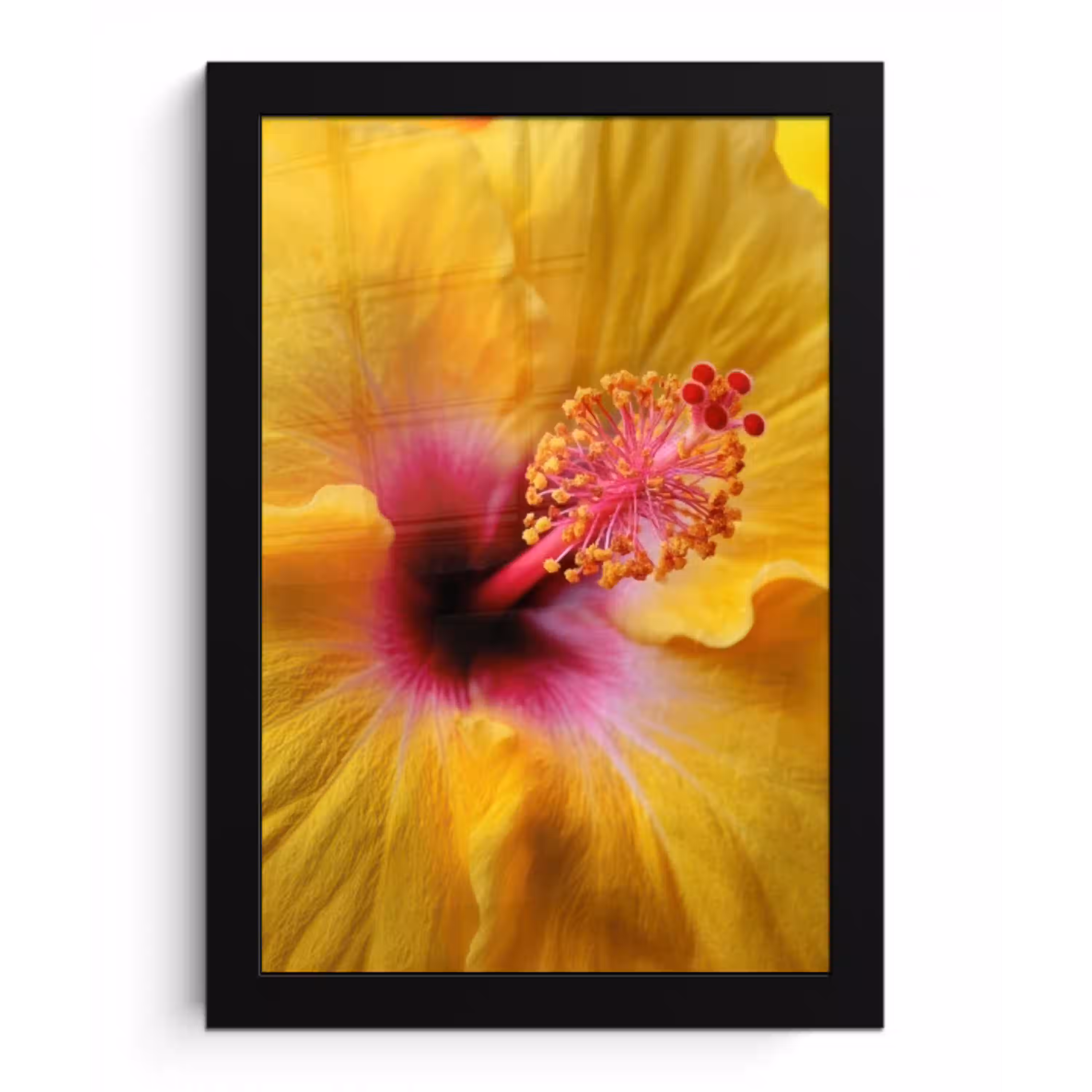 Geel - Hibiscus - Tropisch fotolijst zwart zonder passe partout klein -3d