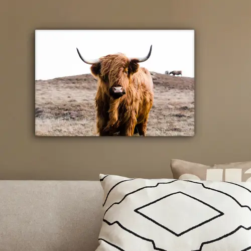 Schotse hooglander - Landschap - Koe - Bruin - Dieren - Natuur canvas 2cm klein -sfeer3