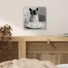 Kat - Siamees - Zwart Wit - Schattig - Dieren aluminium wit klein -sfeer3