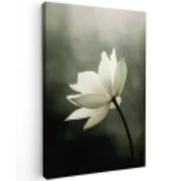 Wit - Lotus - Donker - Bloem Tuinposter op houten frame 2 cm dik klein -3d
