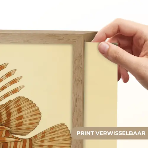 Strepen - Vis - Rond - Stekels Light Box met batterij (Wandlamp) middel -USP_websiteprintNL
