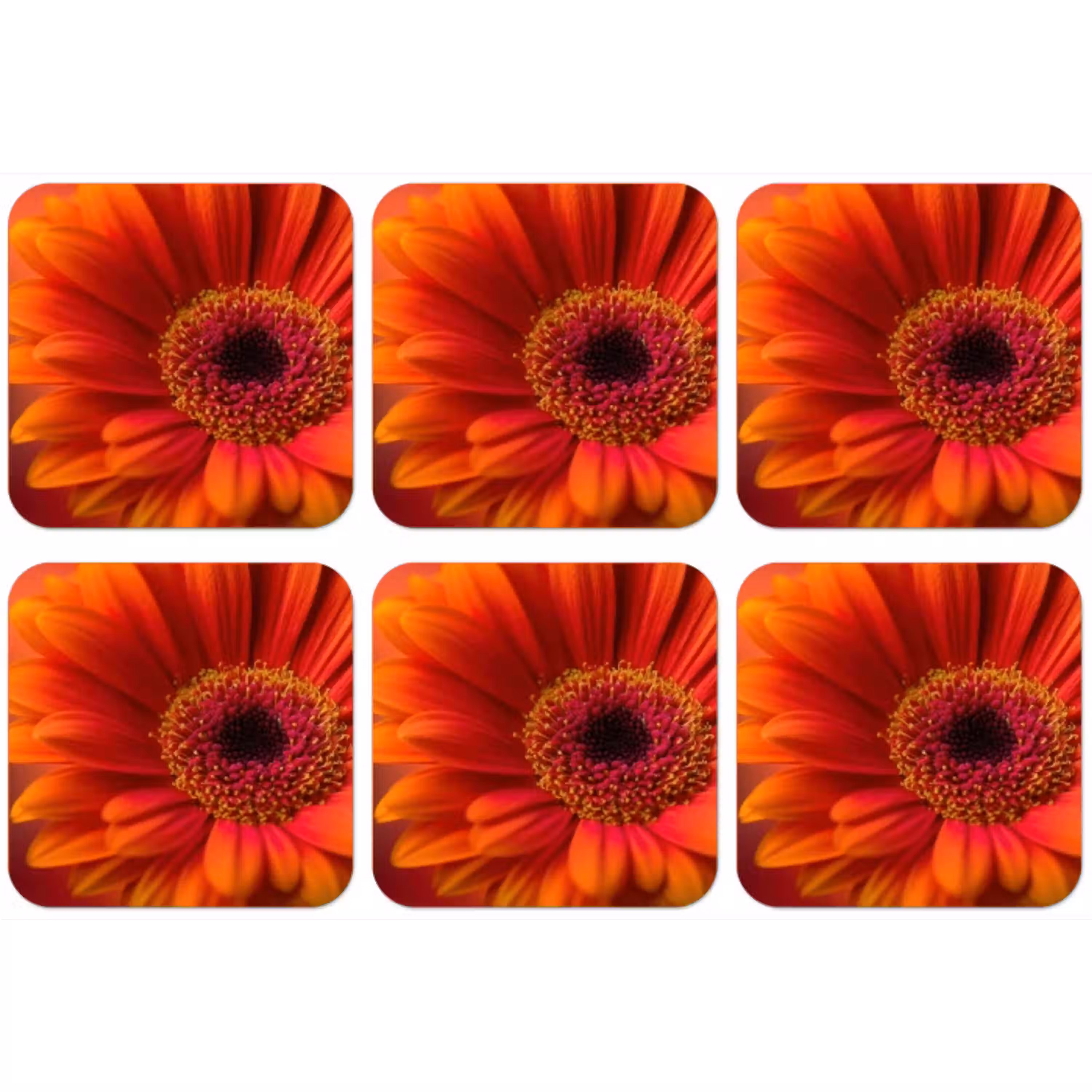 Oranje - Gerbera - Intens onderzetter kurk middel -zkaufland3dotto