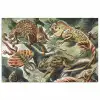 Vintage - Kunst - Ernst Haeckel - Salamanders - Dieren poster papier klein -3d