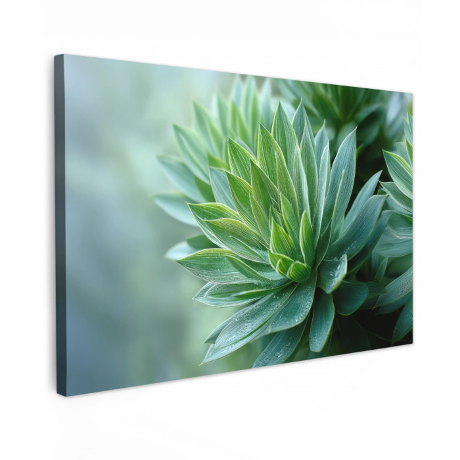 Blad - Plant - Groen - Textuur canvas 2cm klein -z3d