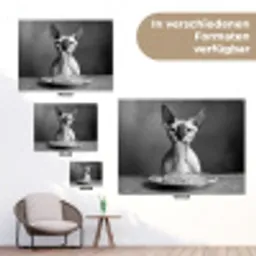 Sphynx - Kat - Dieren - Humor - Spaghetti - Zwart Wit tuinposter los doek klein -Xsfeer9_DE