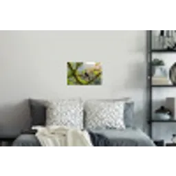 Toekan - Jungle - Natuur - Kleurrijk Muursticker klein -slaapkamer