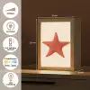 Zeester - Bobbels - Rood Light Box met kabel (Tafellamp) klein -USP_NL