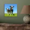 Koeien - Weiland - Gras - Dieren - Boerderij aluminium wit klein -sfeer2